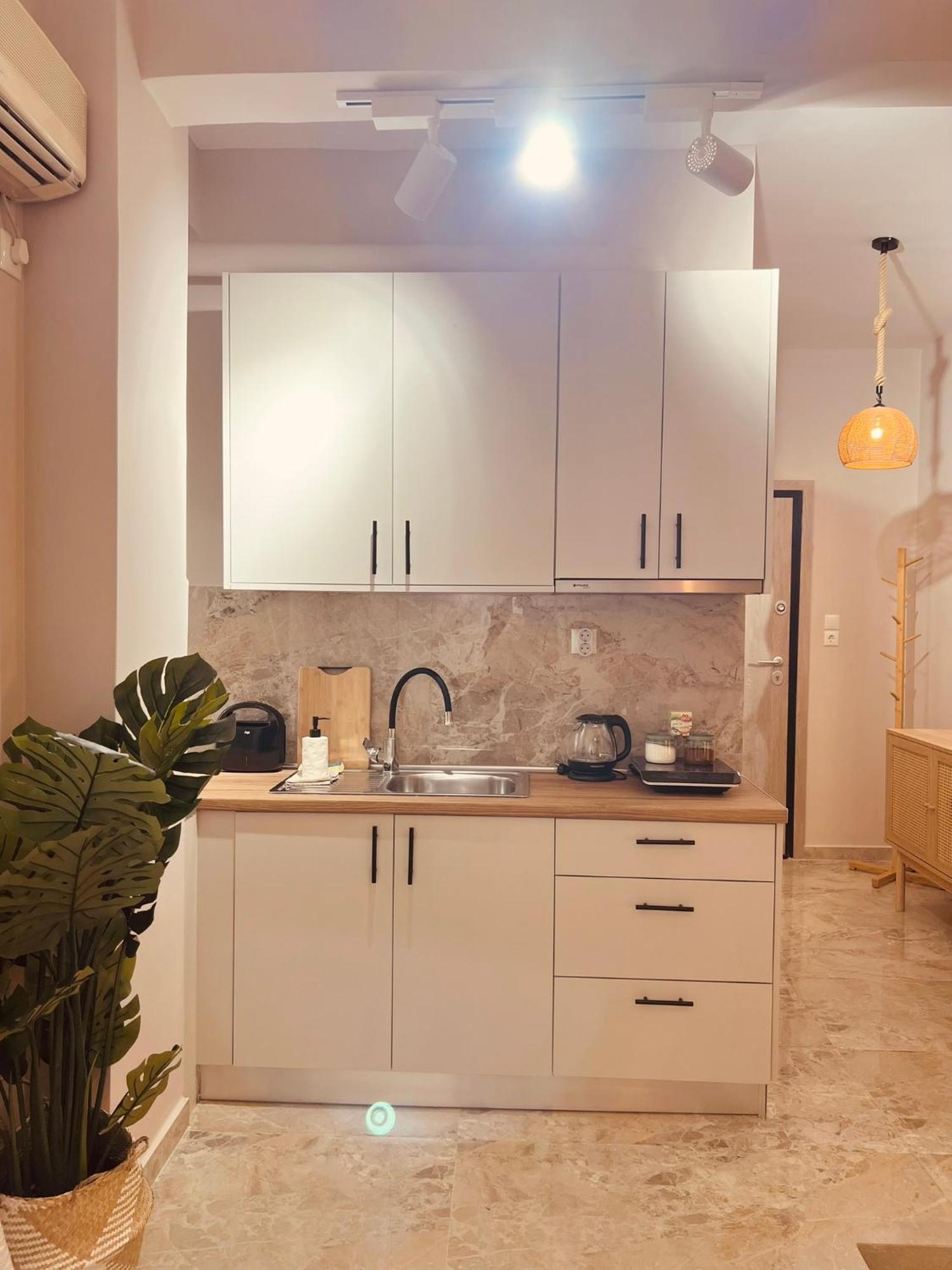 Apartment Cactus Luxury Suite3 Athens
